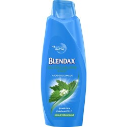 Blendax Saç Dökülmelerine Karşi Isirgan Özlü Şampuan 500 Ml - 3